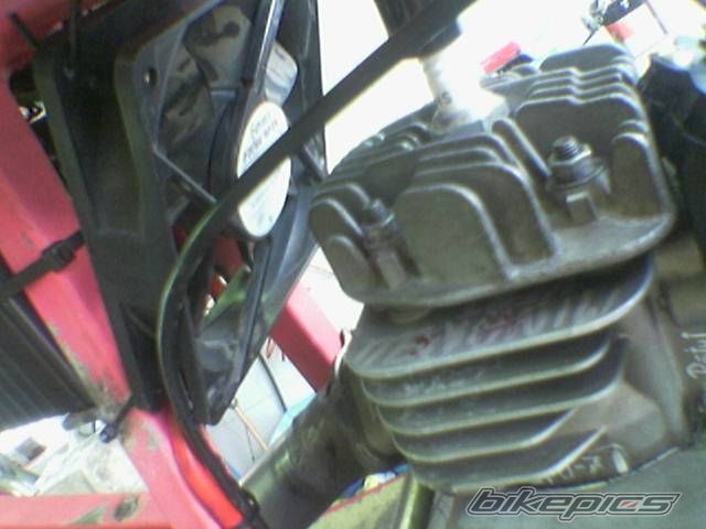 Photo 1001593