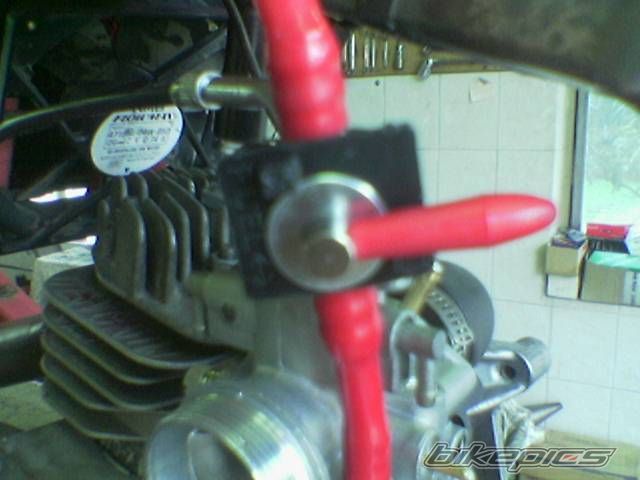 Photo 1001594