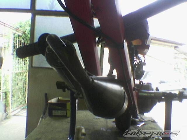 Photo 1001596
