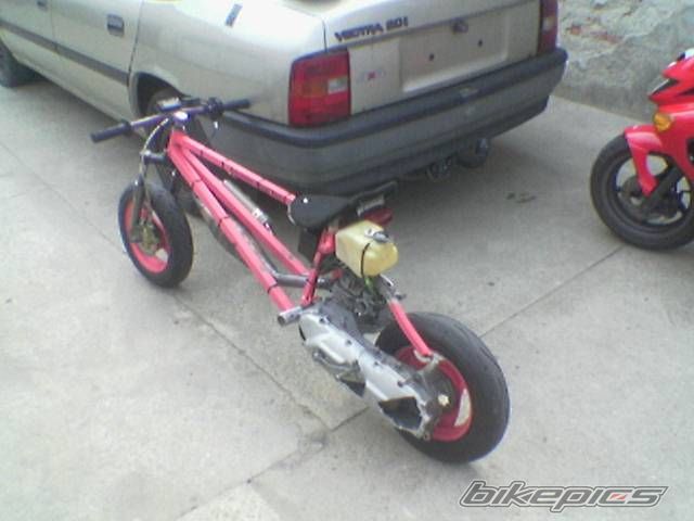 Photo 1001597