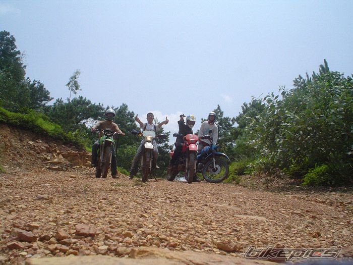 Photo 1001643