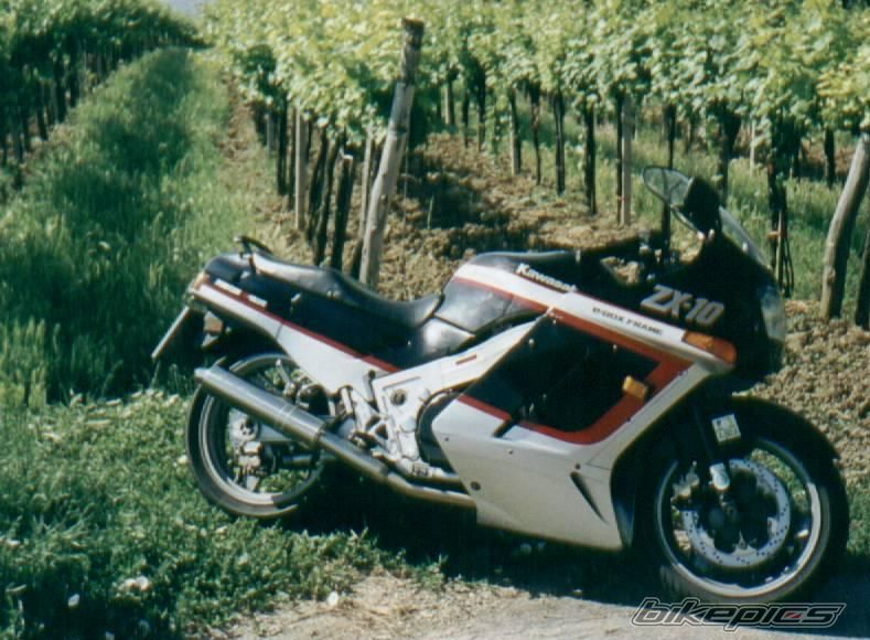 Photo 1001668