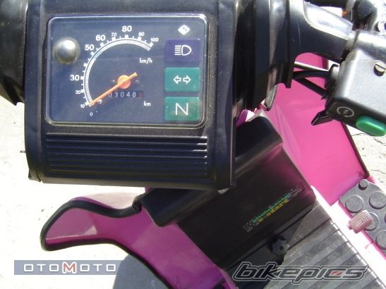 Photo 1001780