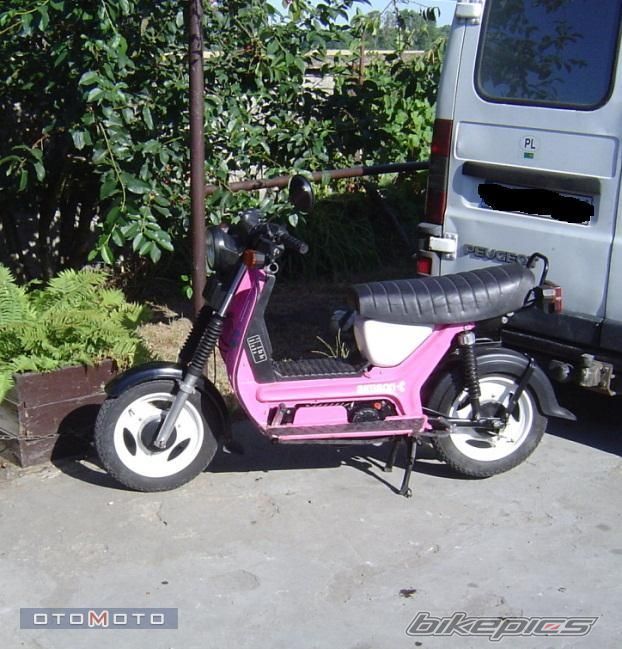 Photo 1001781