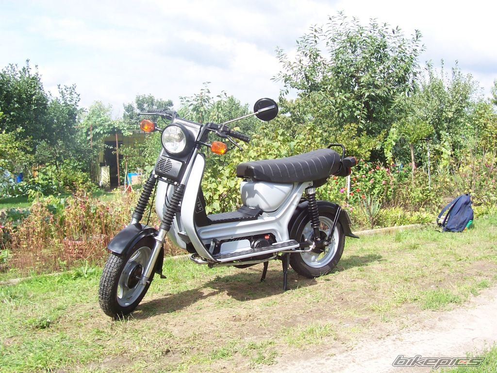 Photo 1001796