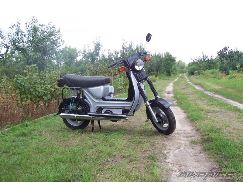 Photo 1001802