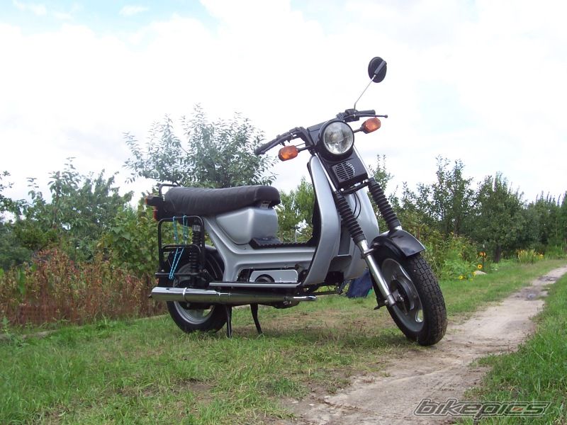Photo 1001803