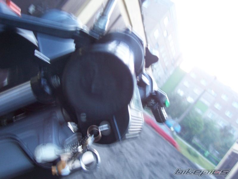Photo 1001837