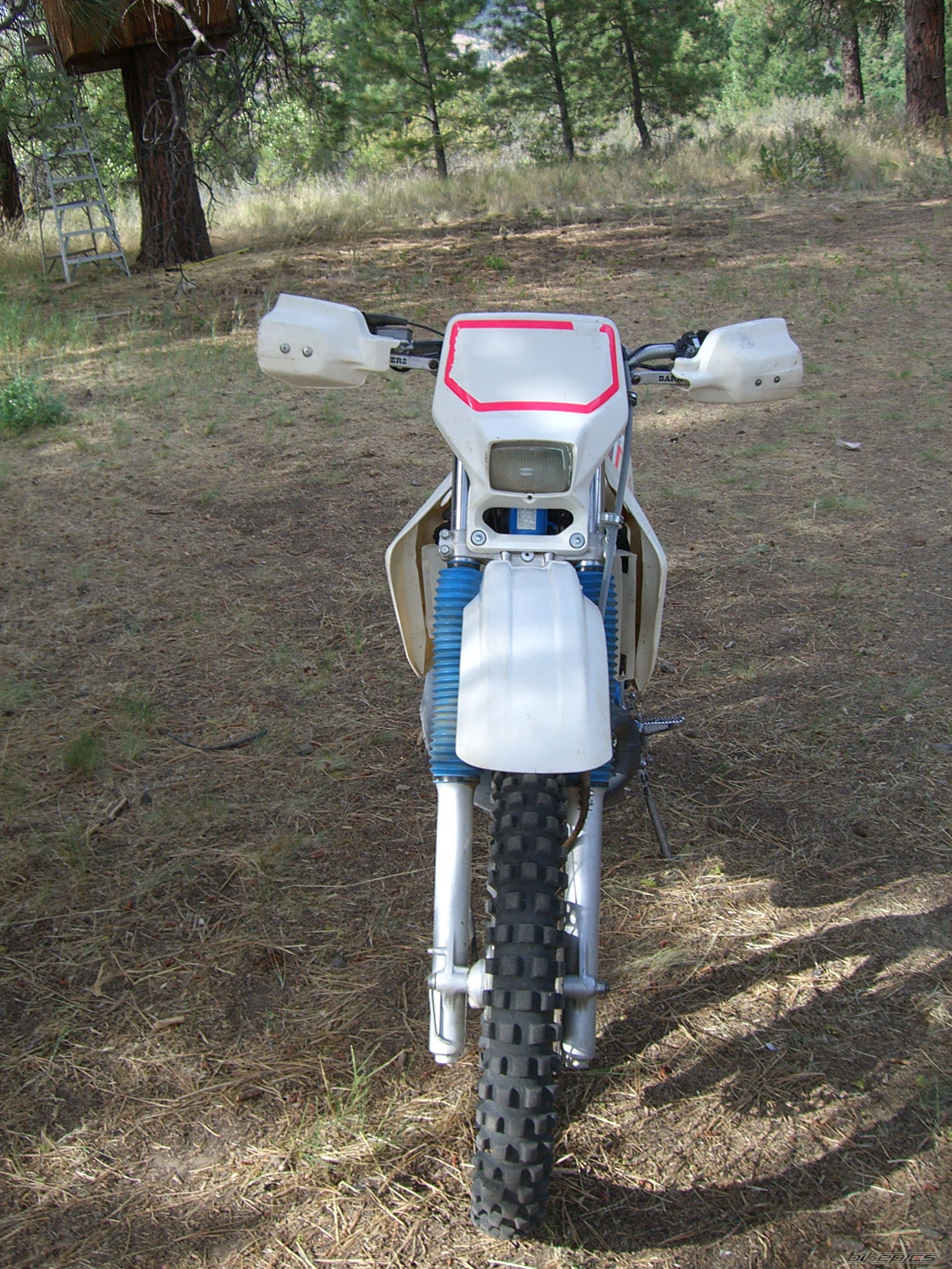 Photo 1001884