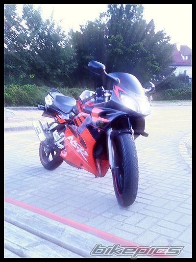 Photo 1001886