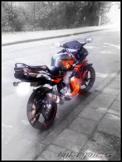 Photo 1001887