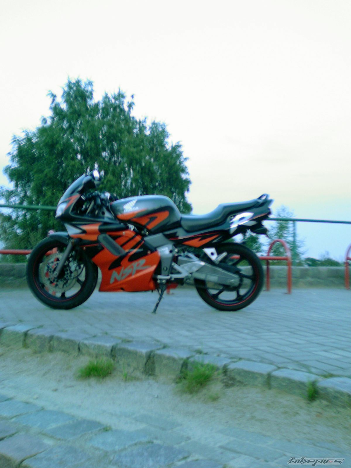 Photo 1001888
