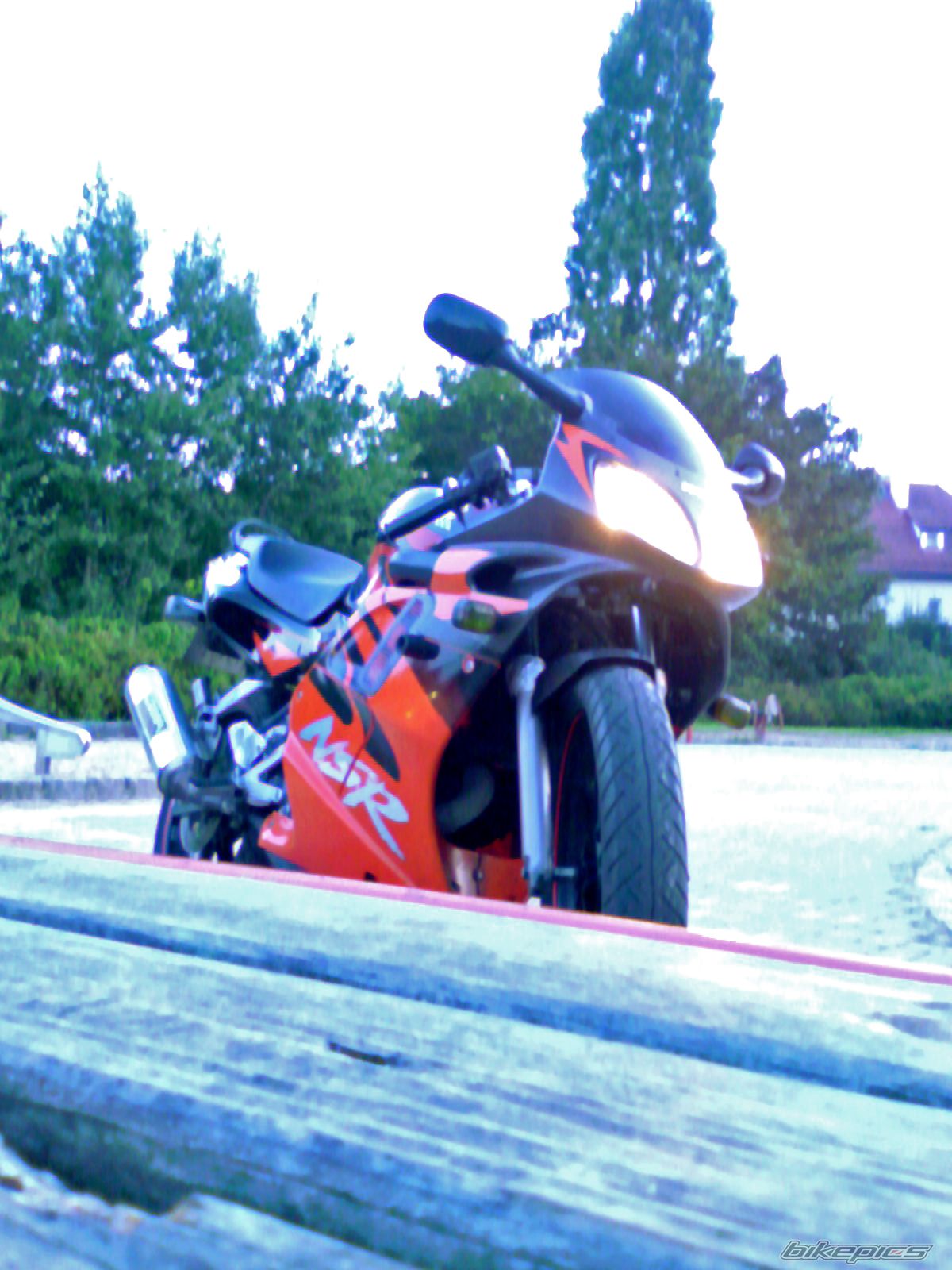 Photo 1001889