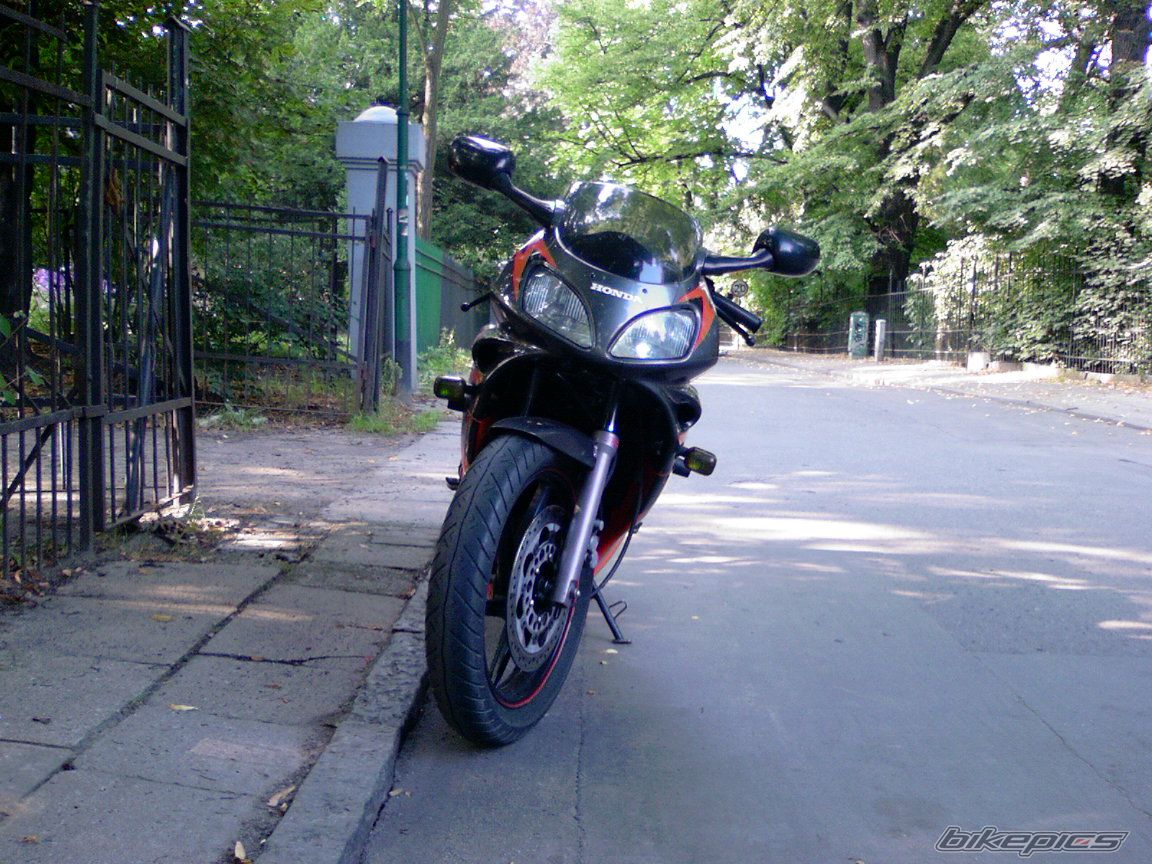 Photo 1001893