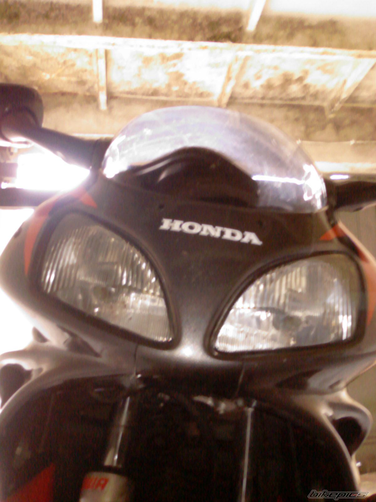 Photo 1001895