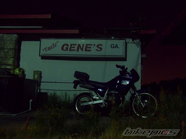 Photo 1001950