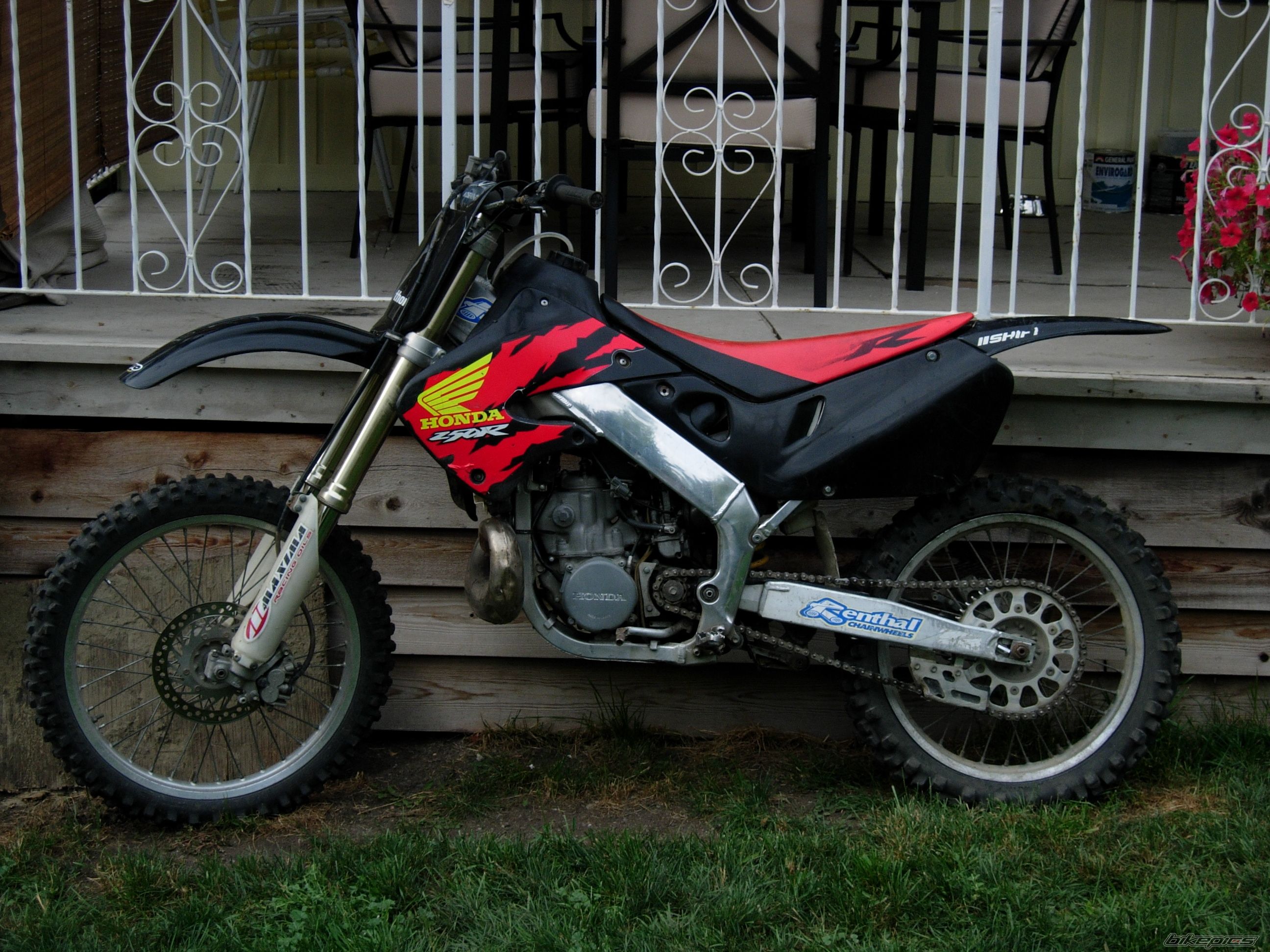 Photo 1001983