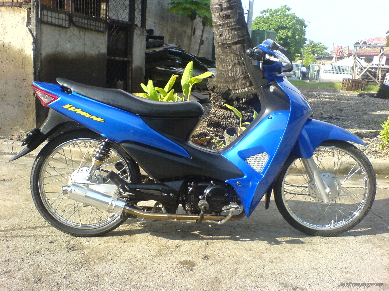 Photo 1001990