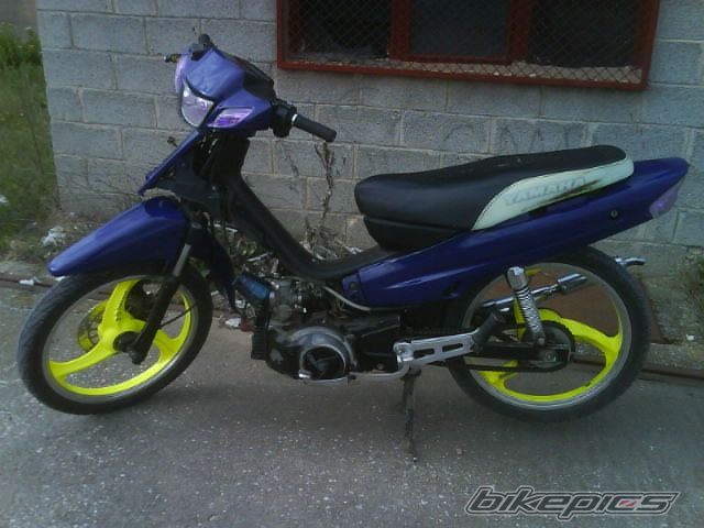 Photo 1002207