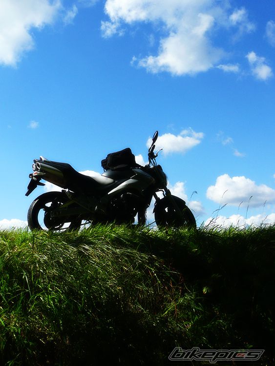 Photo 1002215