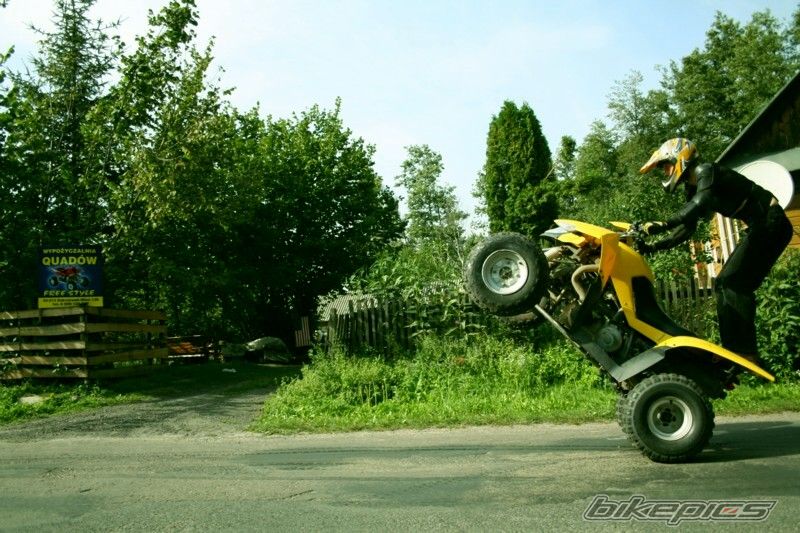 Photo 1002245