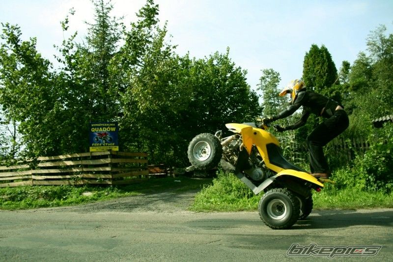 Photo 1002246