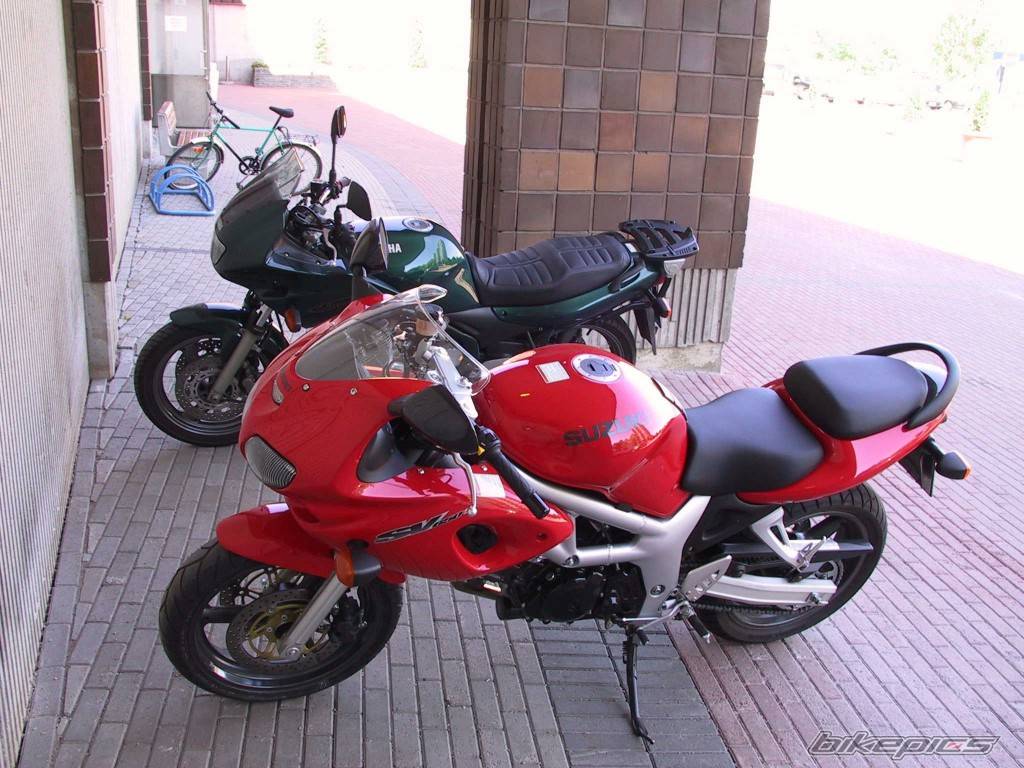 Photo 100226