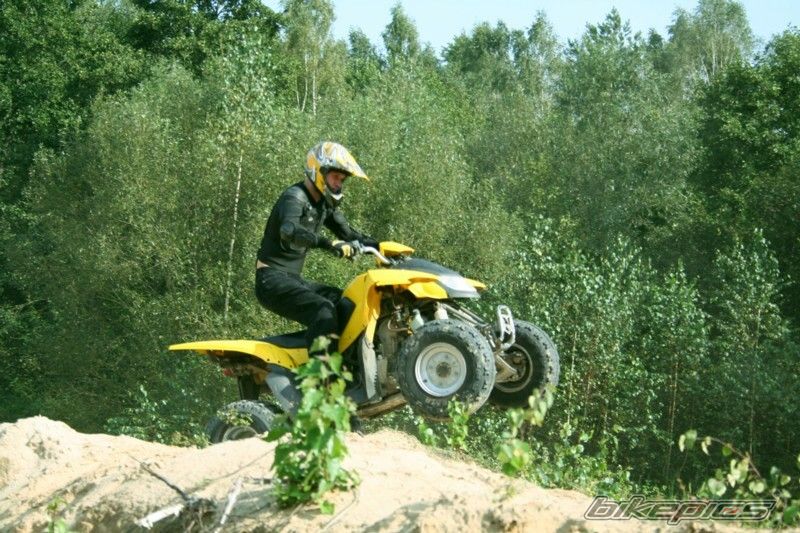 Photo 1002264