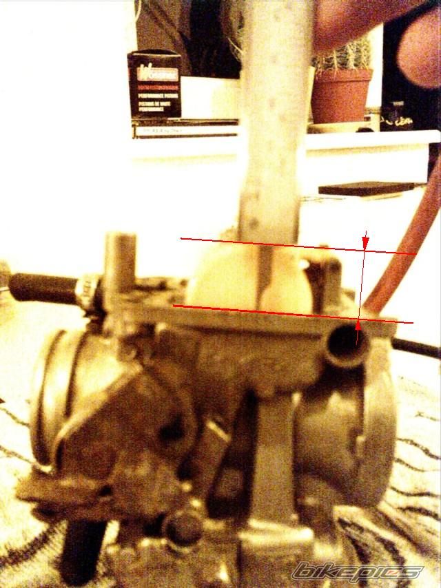Photo 1002278