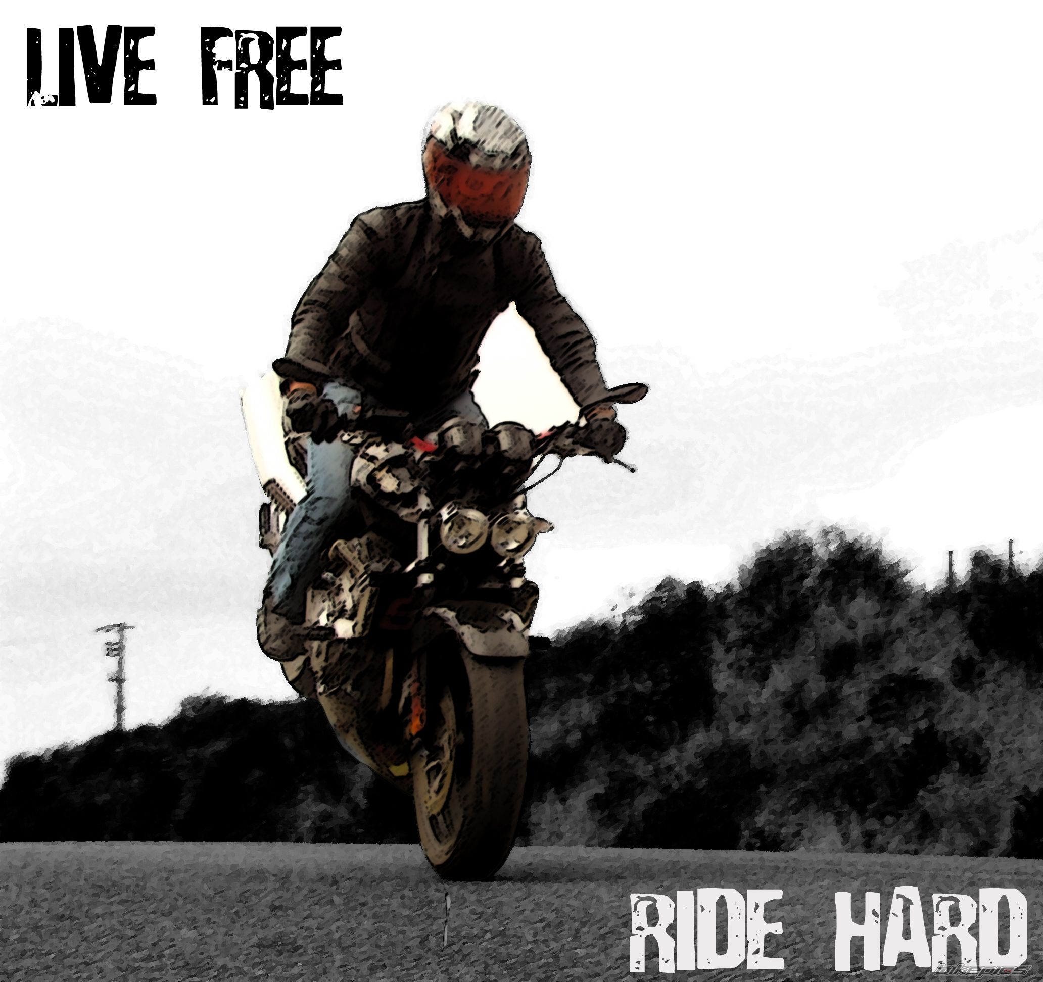 Bike Photo 1002279