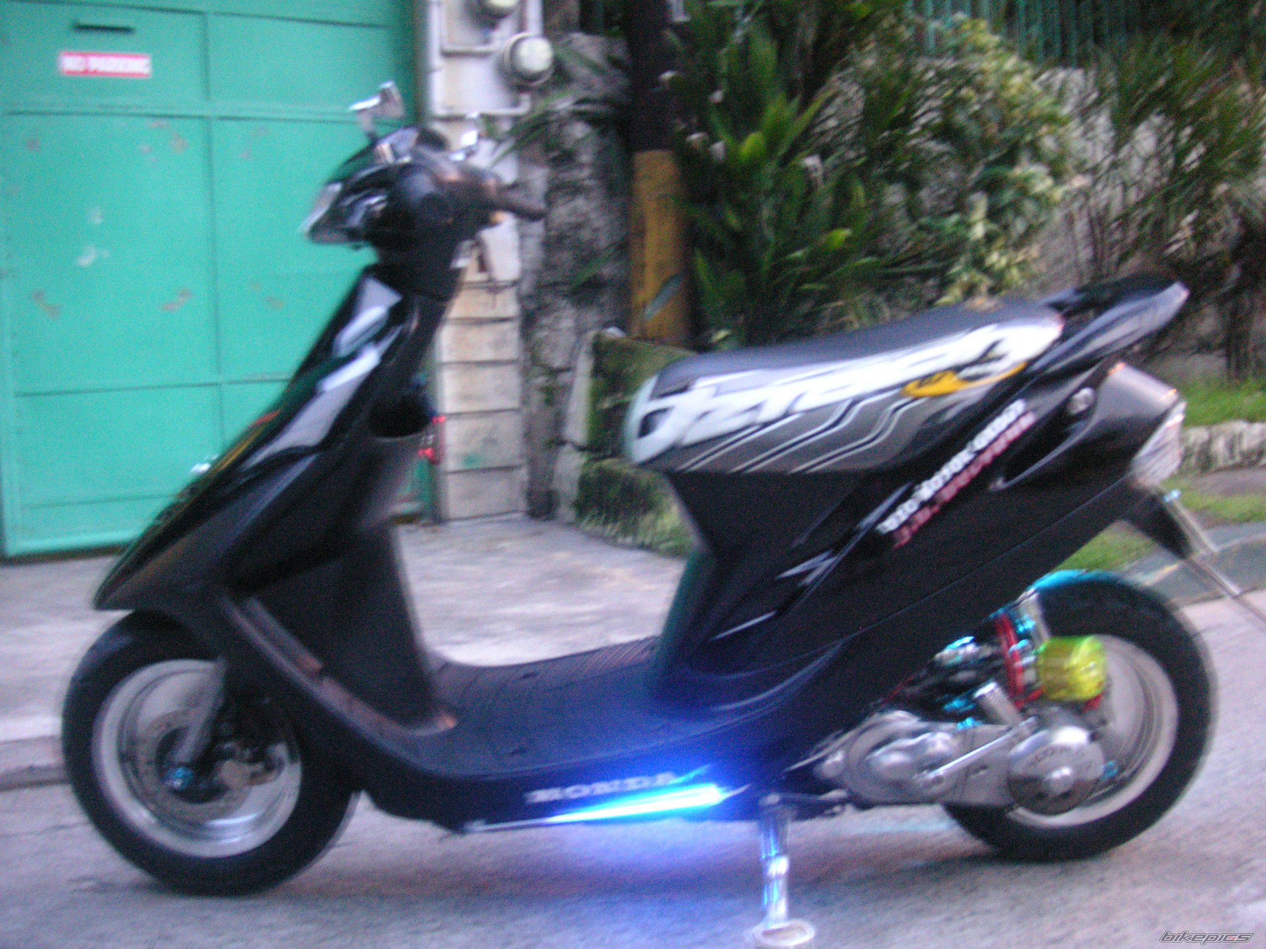Photo 1002288
