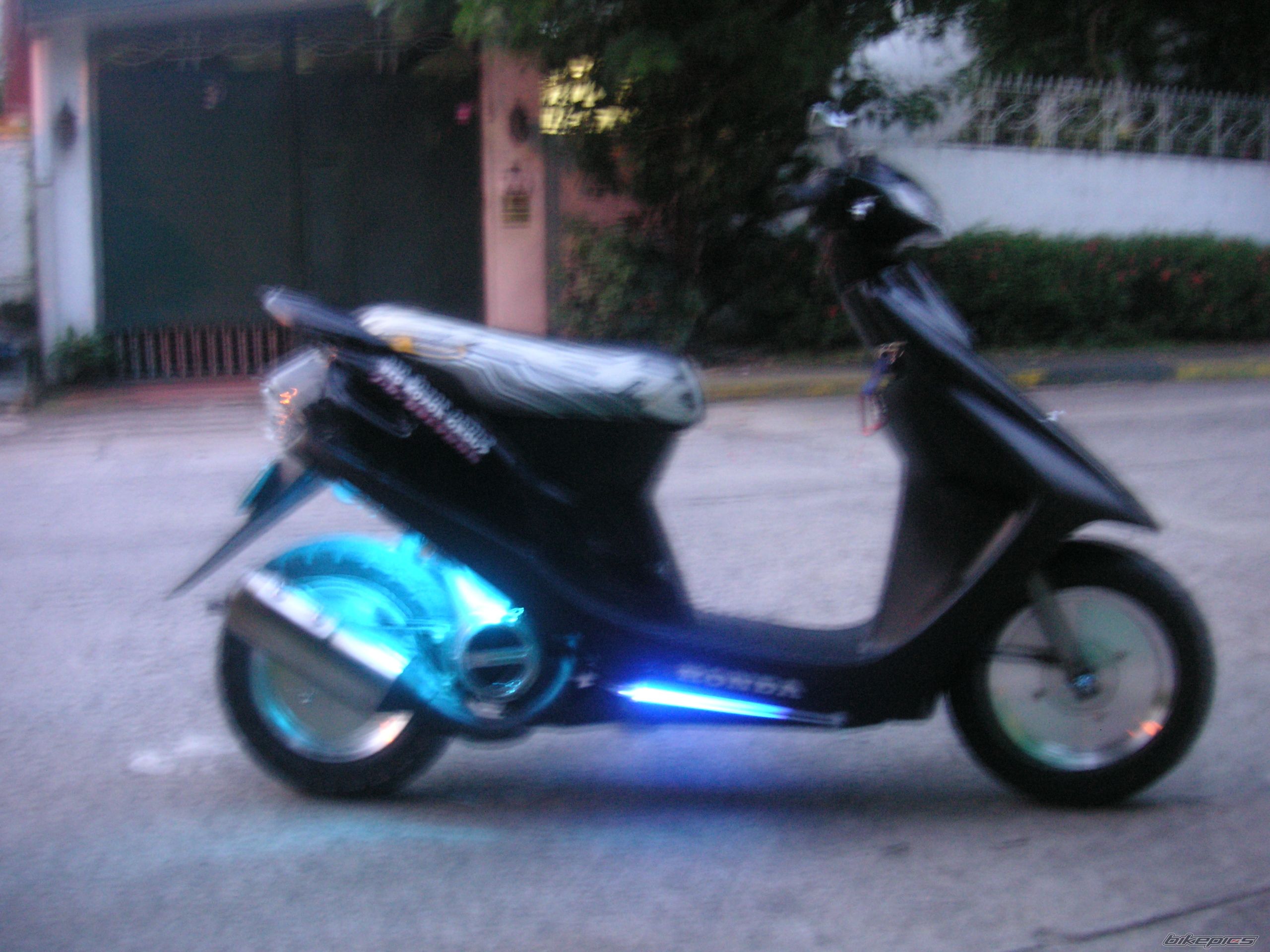 Photo 1002294