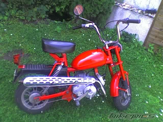 Photo 1002312