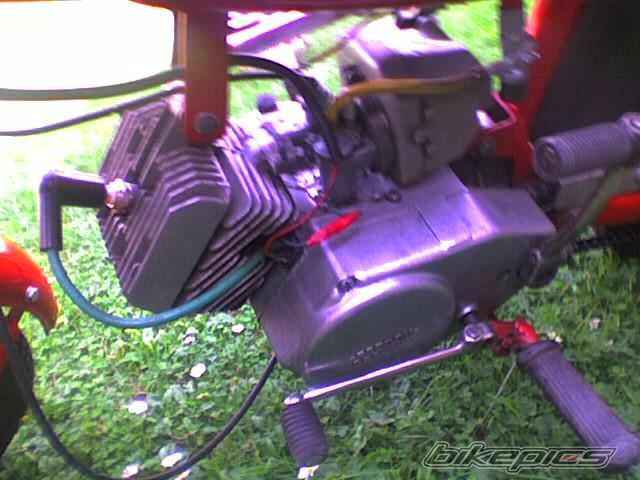 Photo 1002313