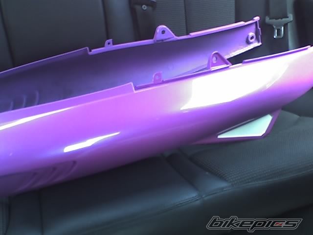 Photo 1002348
