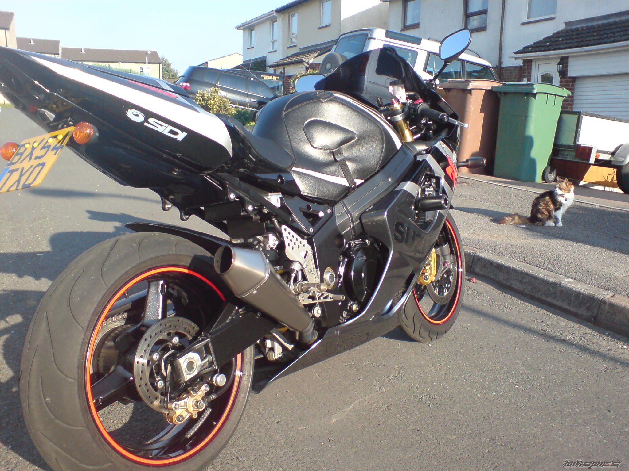 Photo 1002376