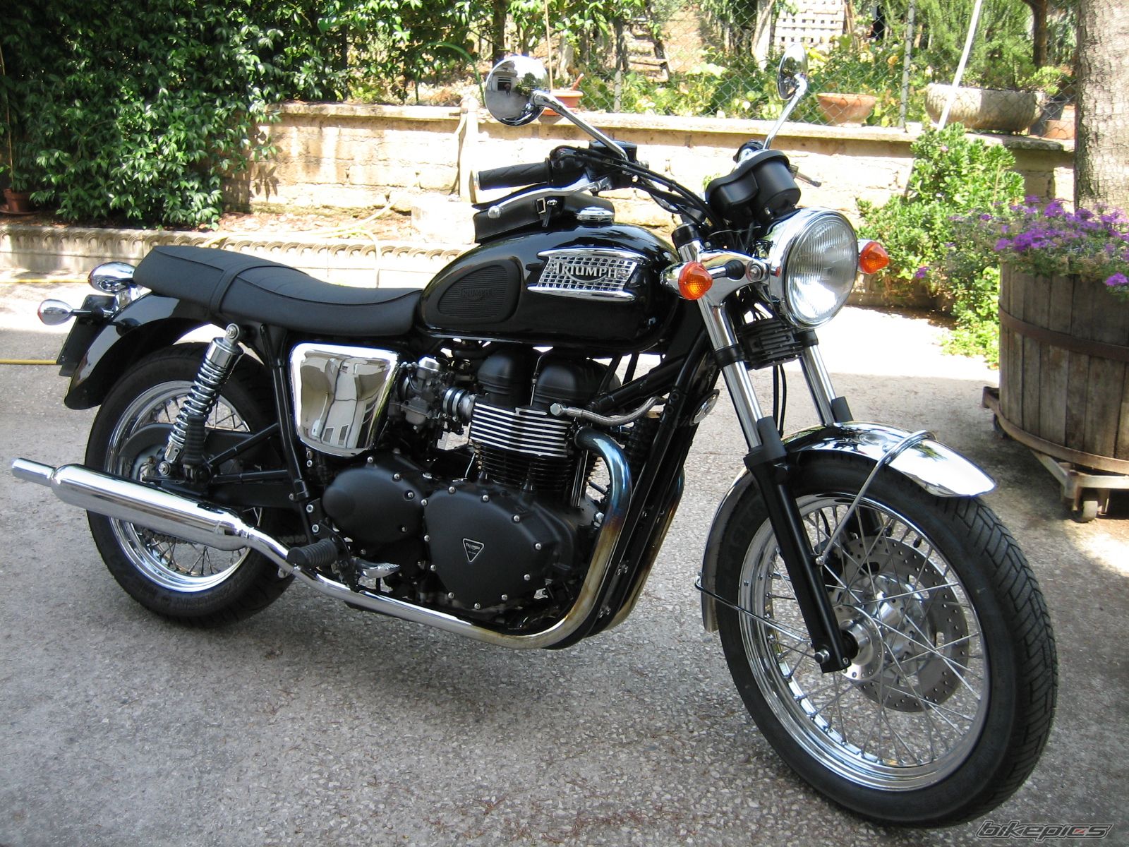 Bike Photo 1002409