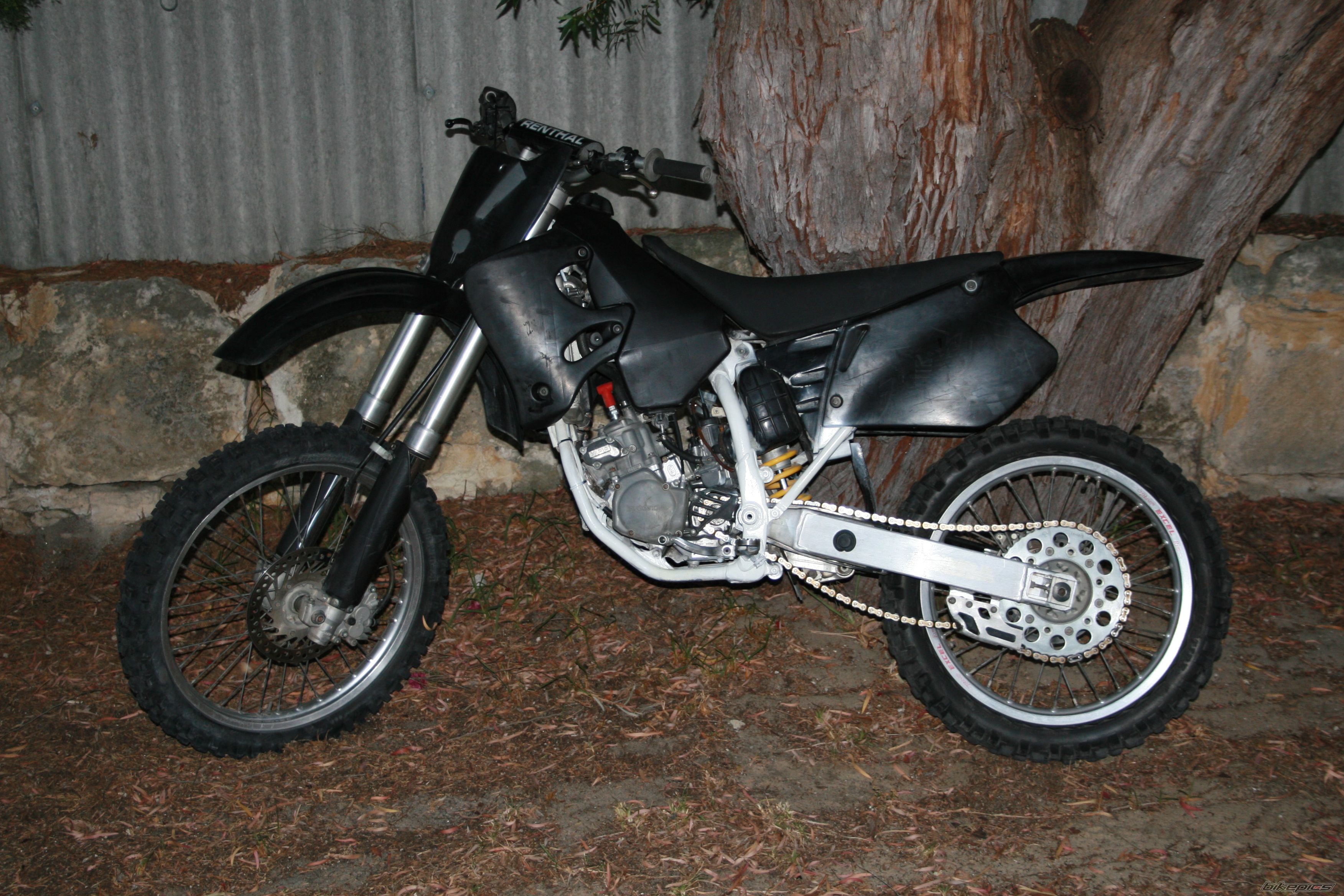 Photo 1002444