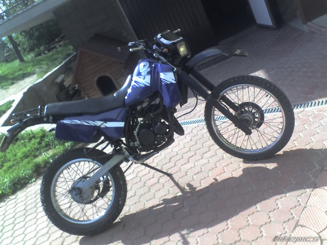 Photo 1002445