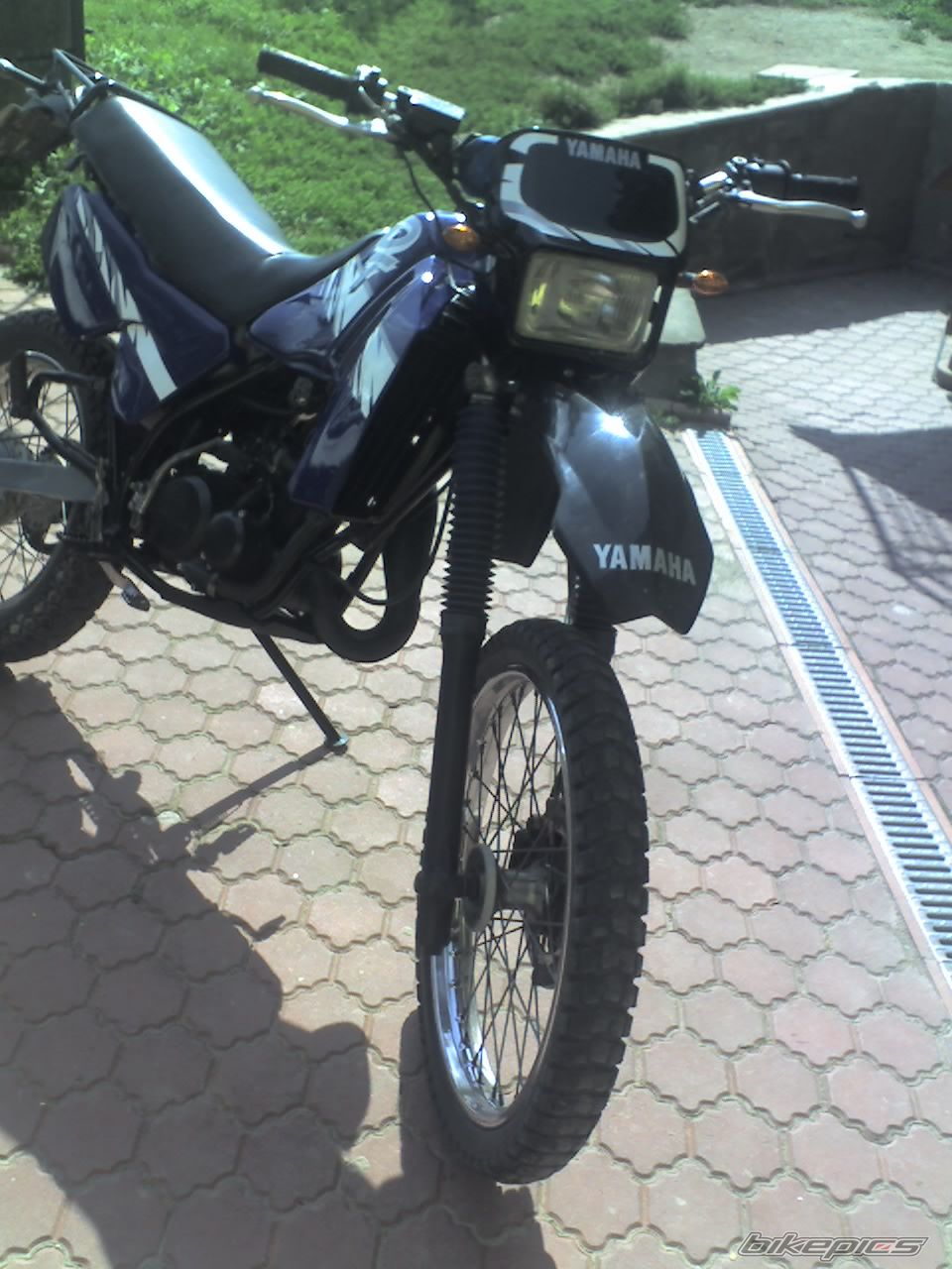 Photo 1002447