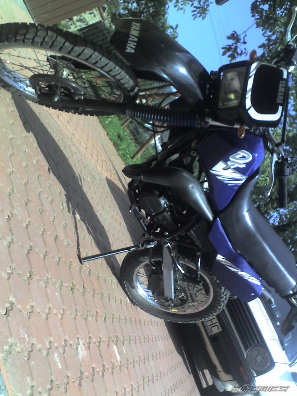 Photo 1002451