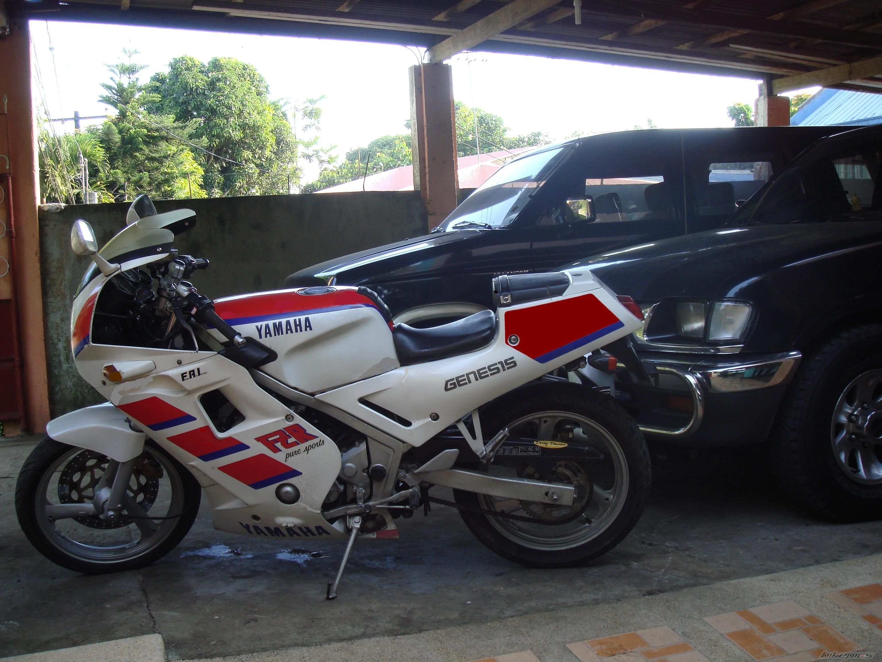 Photo 1002493