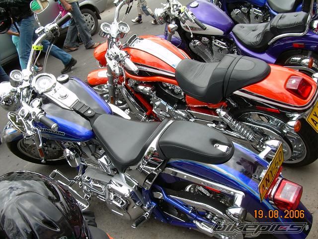 Photo 1002543