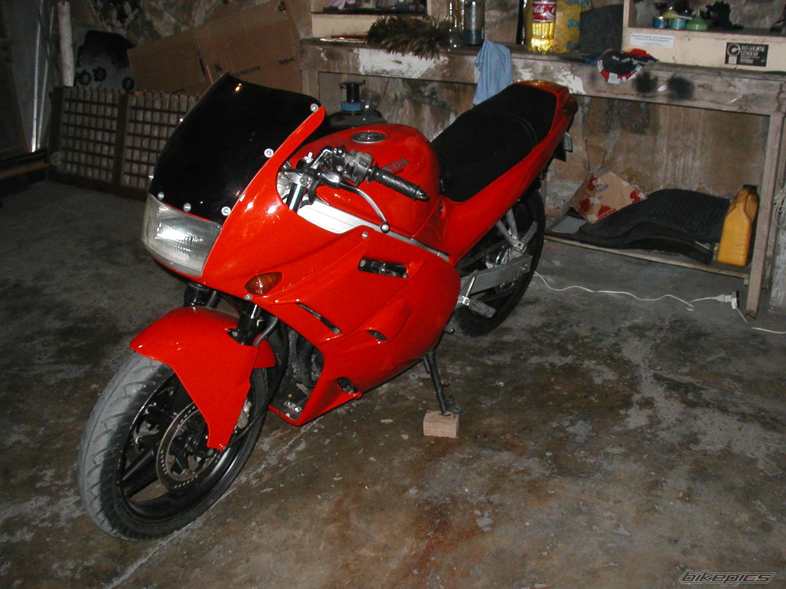 Photo 100255
