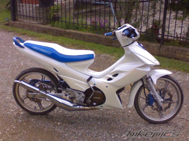 Photo 1002572