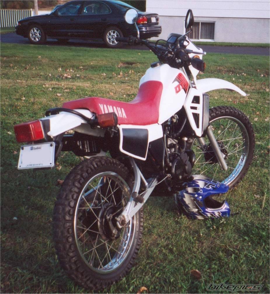 Photo 10026
