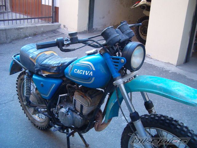 Photo 1002632