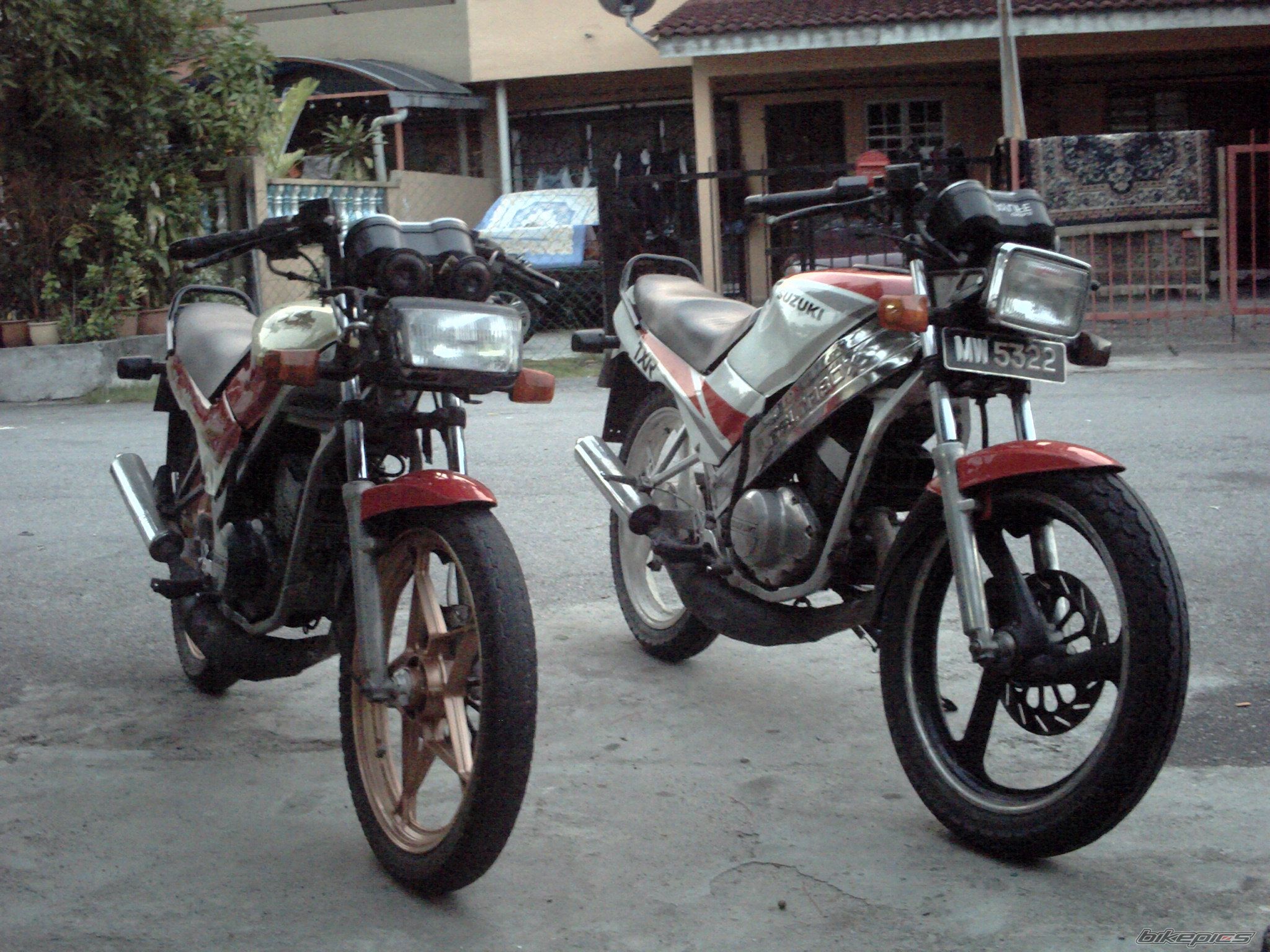 Photo 1002635