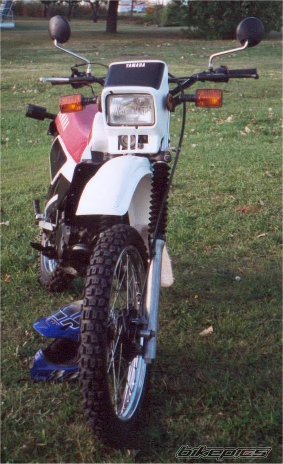 Photo 10027