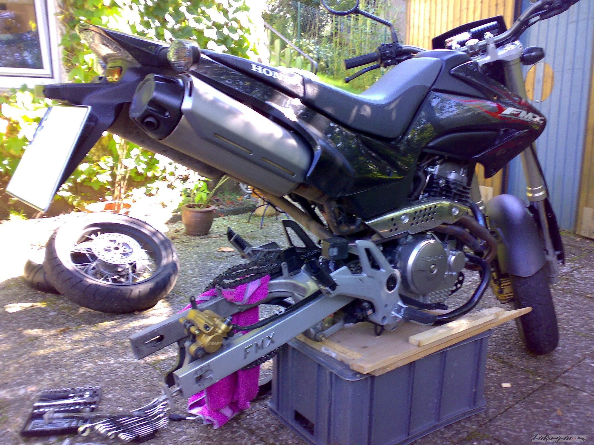 Photo 1002724